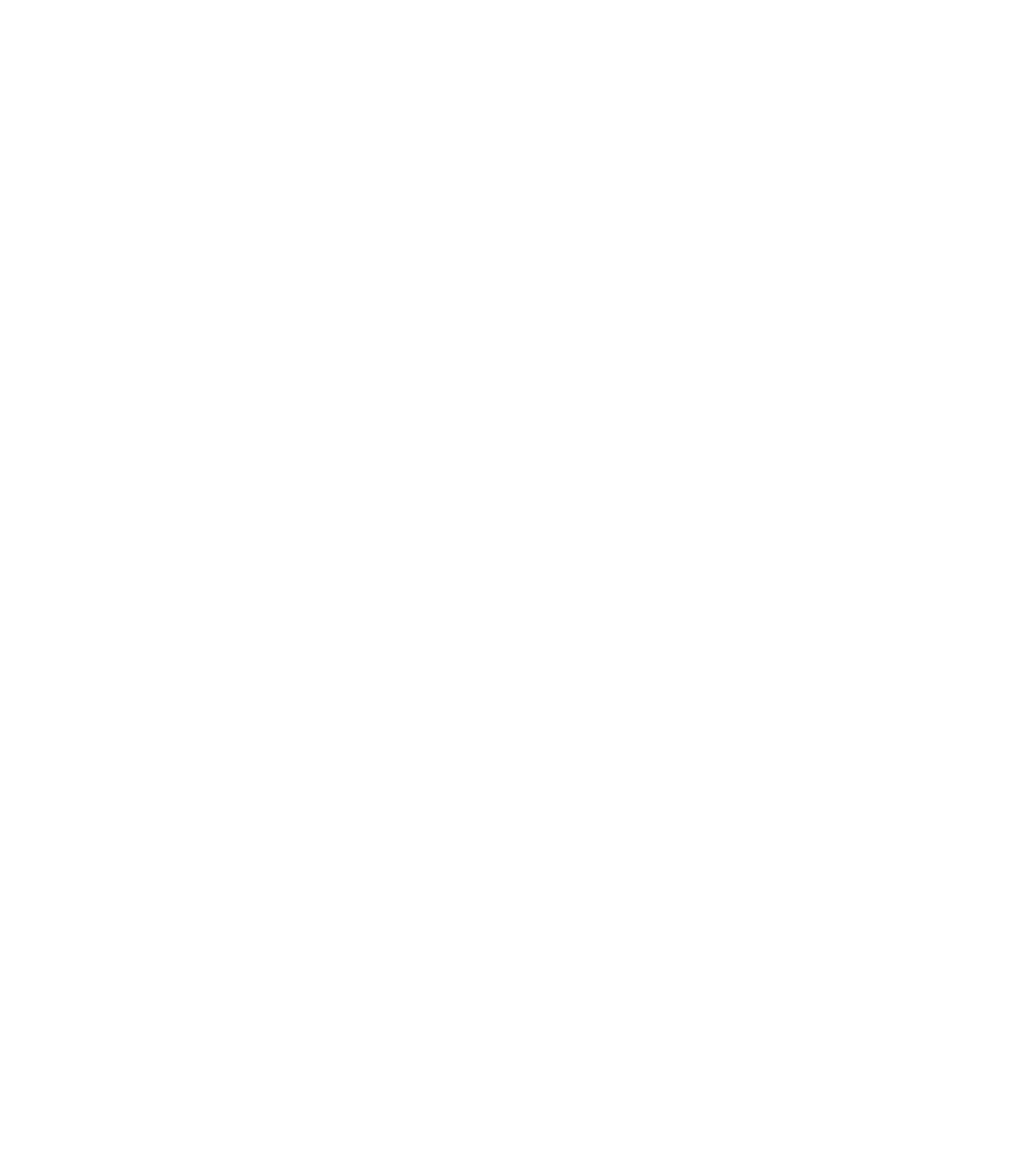 drip lYON